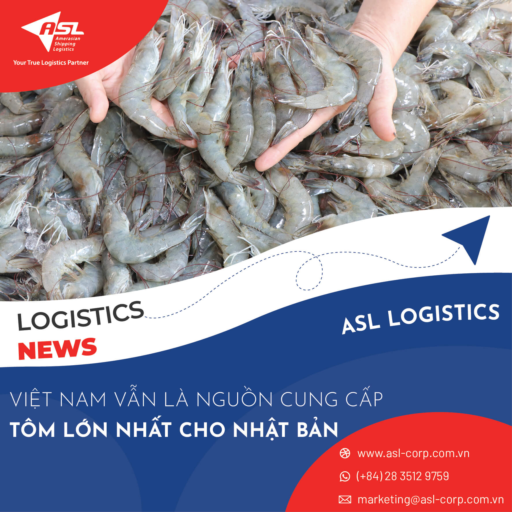 VIỆT NAM VẪN LÀ NGUỒN CUNG TÔM LỚN NHẤT CHO NHẬT BẢN
