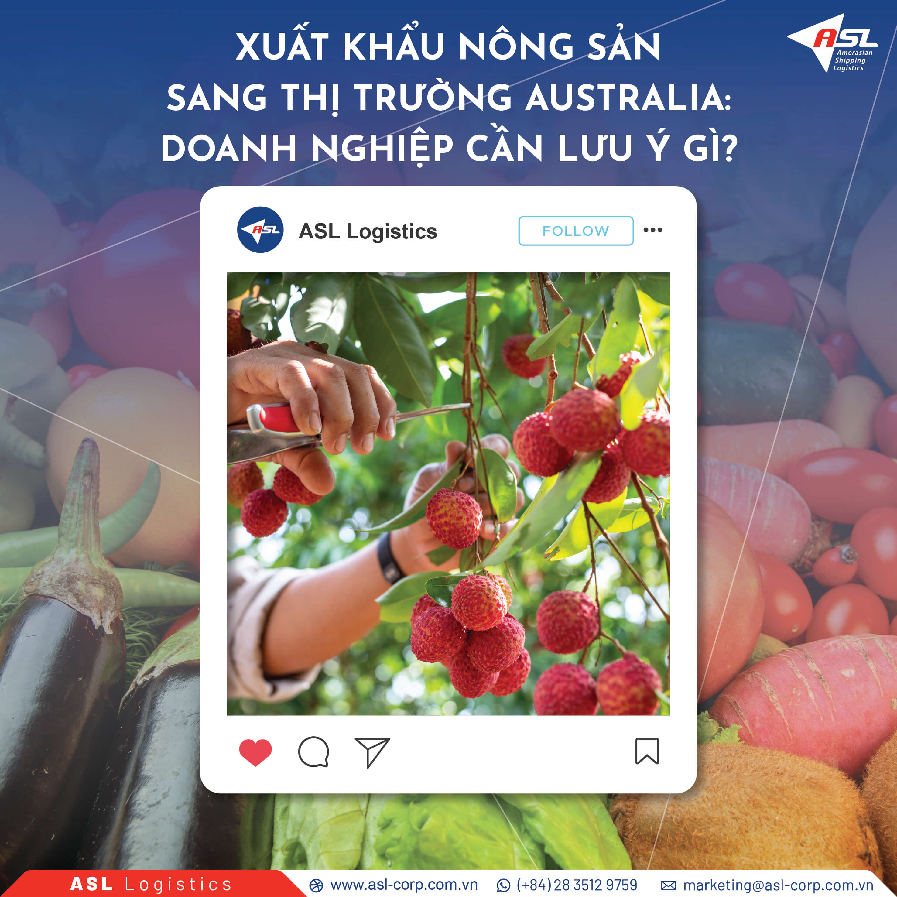 XUẤT KHẨU NÔNG SẢN SANG THỊ TRƯỜNG AUSTRALIA: DOANH NGHIỆP CẦN LƯU Ý GÌ?