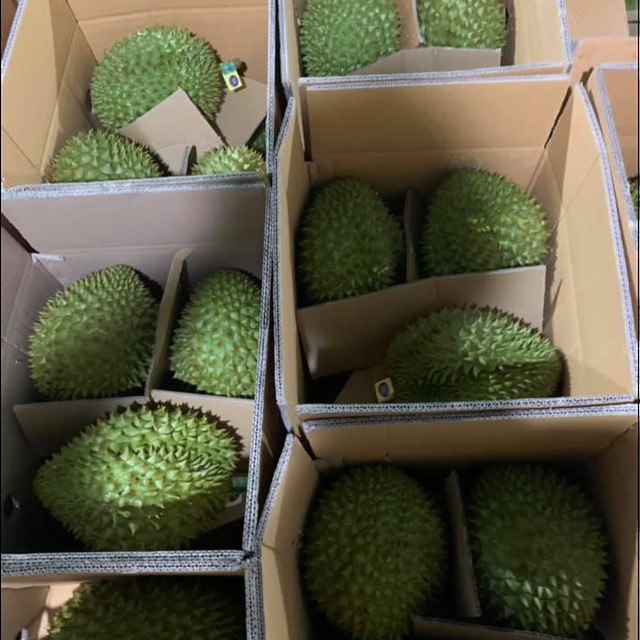 XUAT-KHAU-SAU-RIENG-SANG-TRUNG-QUOC