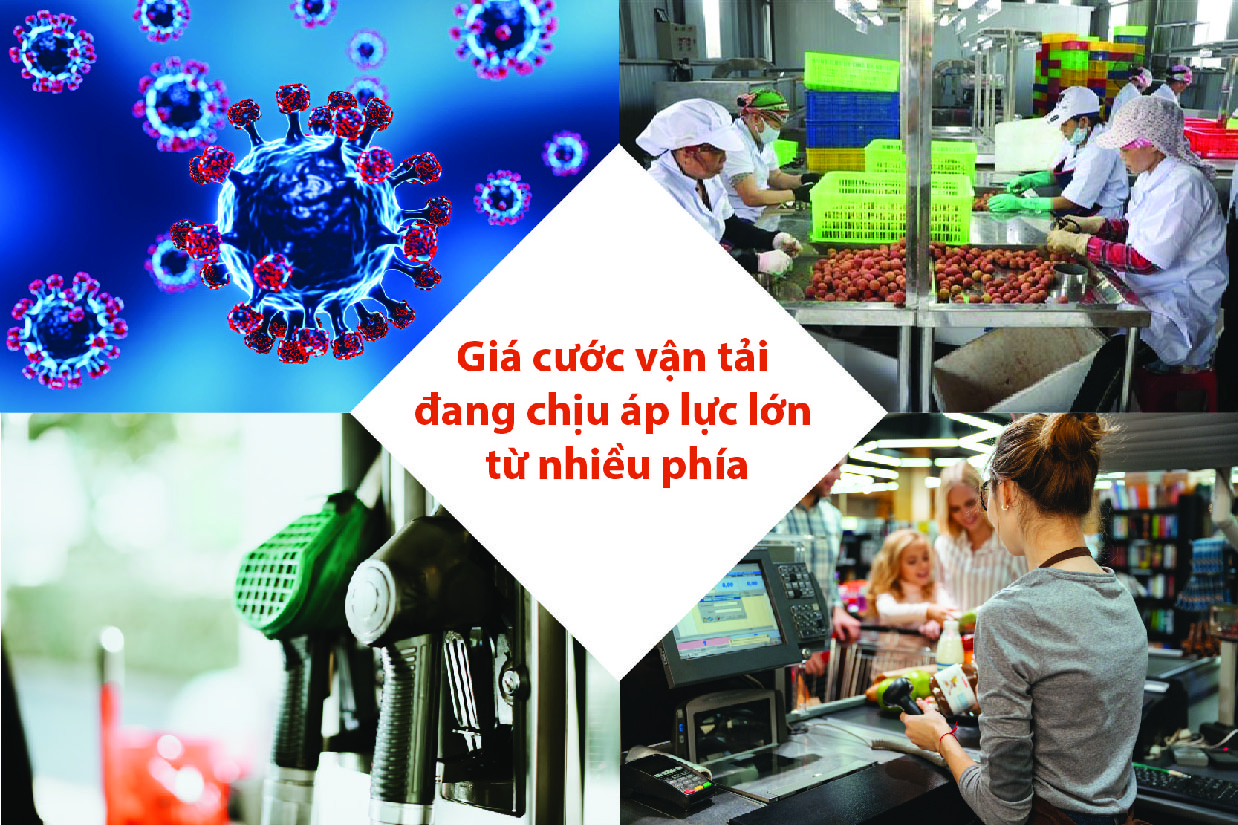 giá cước vận tải