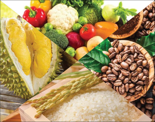 QUY TRÌNH XUẤT KHẨU NÔNG SẢN MỚI NHẤT