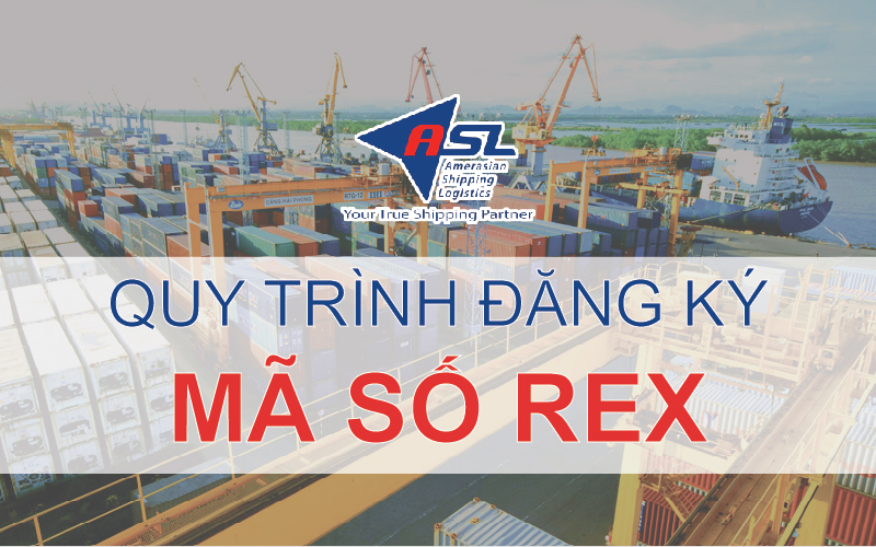 REX LÀ GÌ? QUY TRÌNH ĐĂNG KÝ MÃ SỐ REX